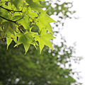 IMG_9660.png