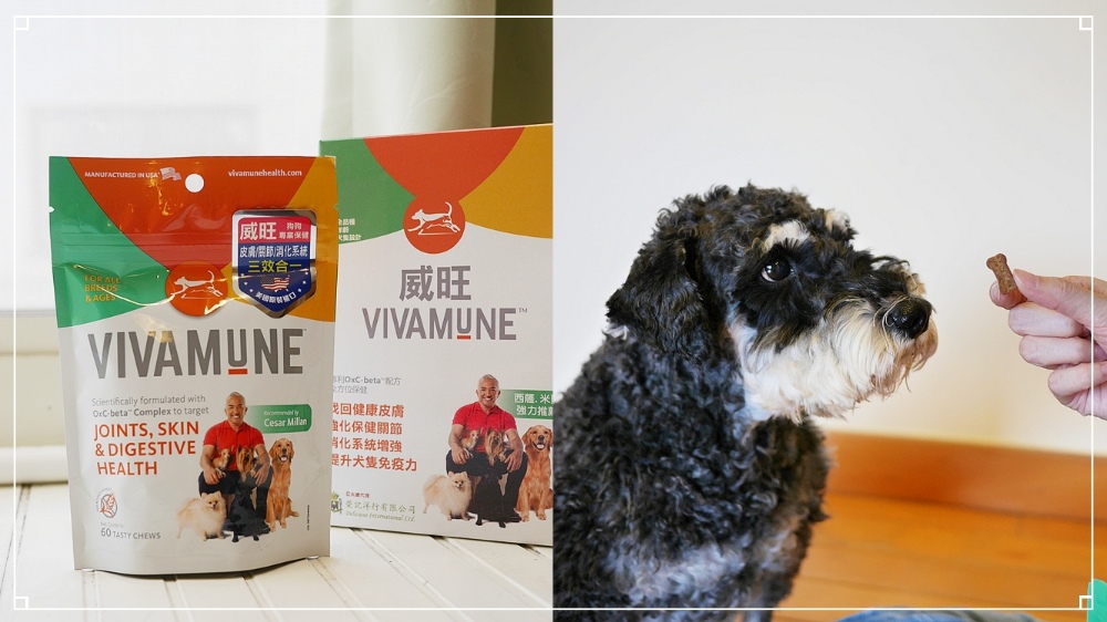 【狗狗關節保健食品】美國威旺VIVAMUNE犬用保健品初體驗◆關節%2F皮膚%2F消化系統保健養護◆報告狗班長西薩推薦！