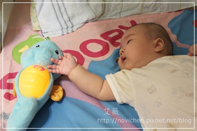 20110904[3Y1M2W&3M3W] 安安小海馬_1.JPG