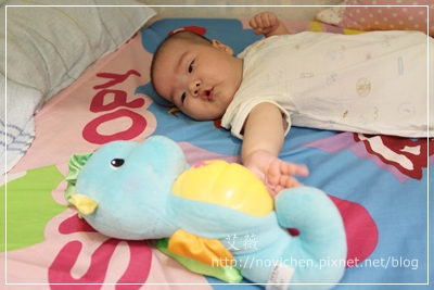 20110904[3Y1M2W&3M3W] 安安小海馬_2.JPG