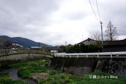 由布院別邸樹_2.JPG