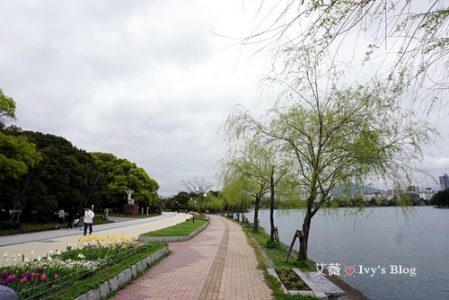 大濠公園_8.JPG