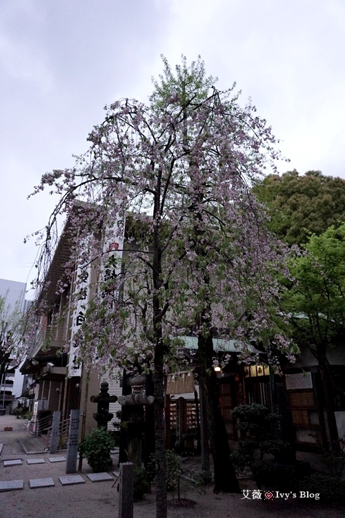 櫛田神社_6.JPG