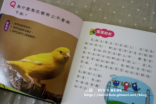解開好奇心_17.JPG 解開好奇心_17.JPG