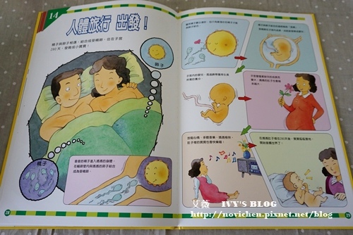 身體大探險_8.JPG