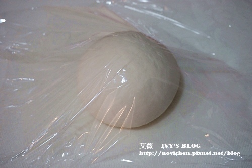 手工蔥油餅_4.JPG 手工蔥油餅_4.JPG