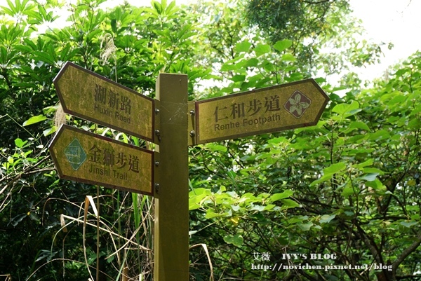 仁和步道賞桐花_11.JPG 仁和步道賞桐花_11.JPG