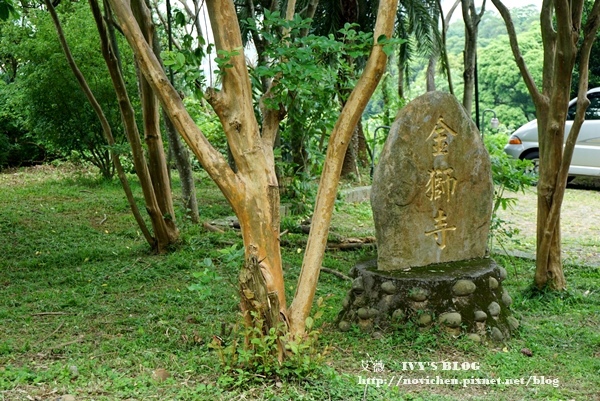 仁和步道賞桐花_14.JPG