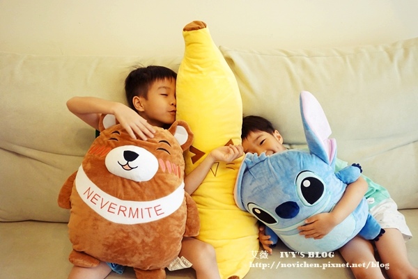 Nevermite抱枕_12.JPG