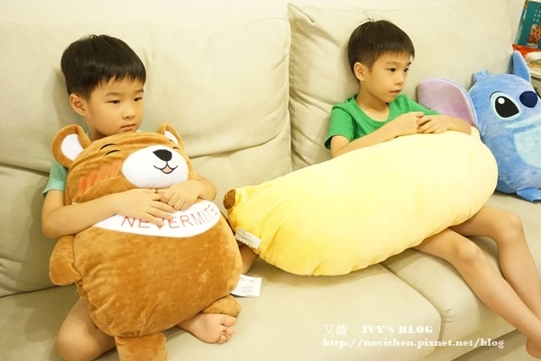 Nevermite抱枕_17.JPG