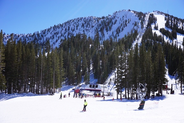 Reno_40.JPG Reno_40.JPG