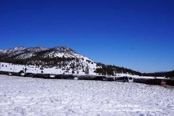 Reno_42.JPG Reno_42.JPG