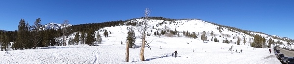 Reno_43.JPG Reno_43.JPG