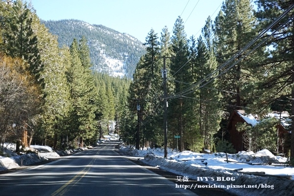 Reno_60.JPG Reno_60.JPG