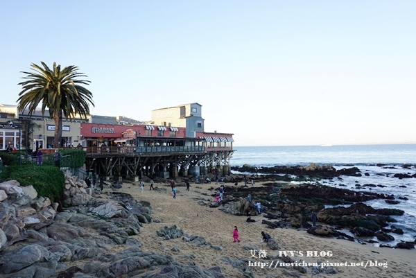 Monterey_20.JPG