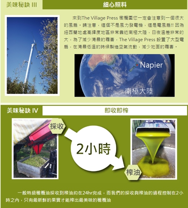 28_TVP 橄欖油.jpg
