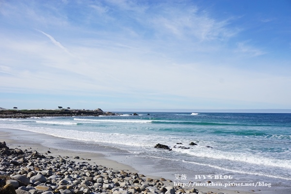 17 Mile Drive_3.JPG