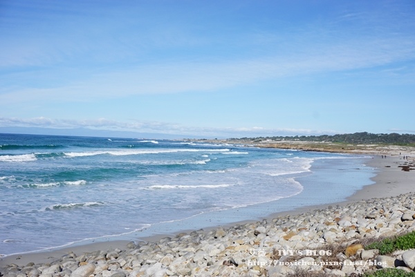 17 Mile Drive_4.JPG