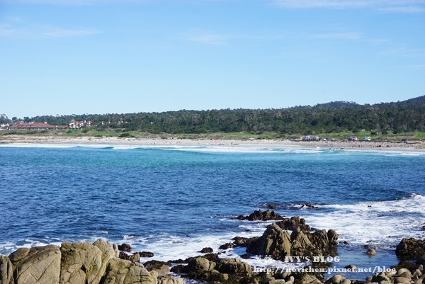 17 Mile Drive_6.JPG