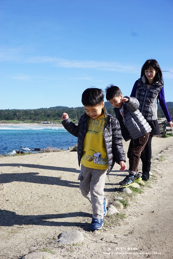 17 Mile Drive_8.JPG