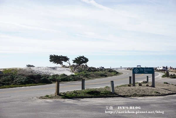 17 Mile Drive_9.JPG