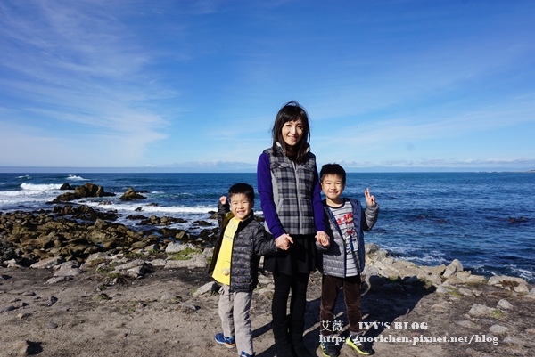 17 Mile Drive_10.JPG