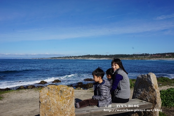 17 Mile Drive_11.JPG