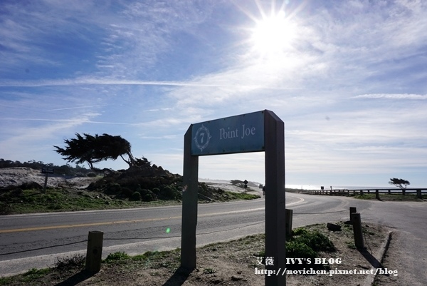 17 Mile Drive_13.JPG