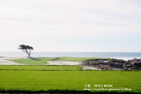 17 Mile Drive_14.JPG