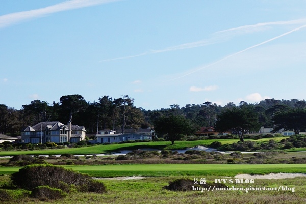 17 Mile Drive_15.JPG