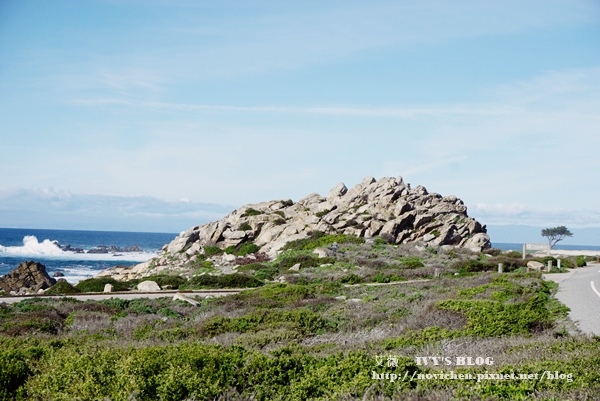 17 Mile Drive_16.JPG