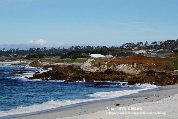 17 Mile Drive_23.JPG