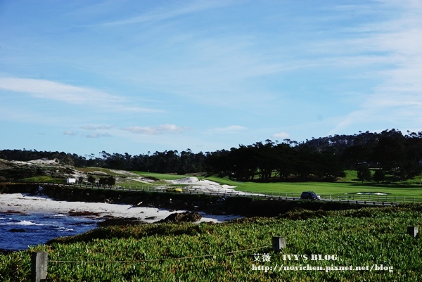 17 Mile Drive_24.JPG