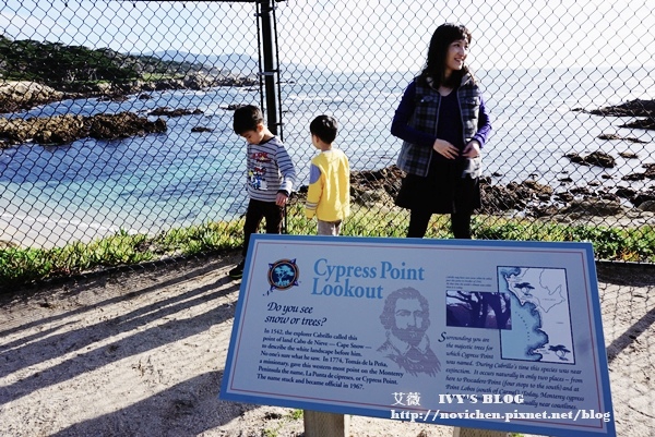 17 Mile Drive_25.JPG