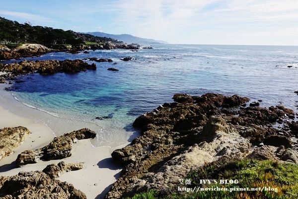 17 Mile Drive_26.JPG