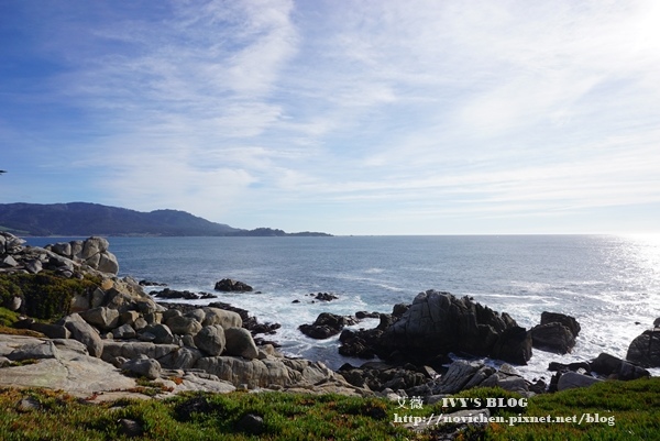 17 Mile Drive_31.JPG