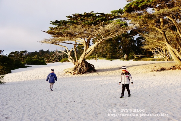 Carmel-by-the-Sea_22.JPG