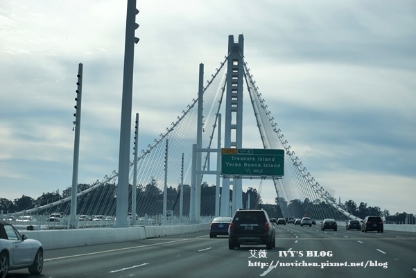 海灣大橋_3.JPG
