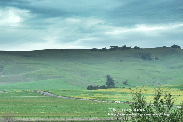 Yountville_1.JPG Yountville_1.JPG