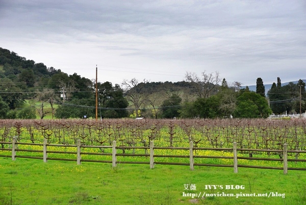 Yountville_2.JPG Yountville_2.JPG