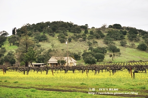 Yountville_3.JPG