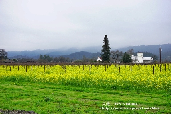 Yountville_4.JPG Yountville_4.JPG