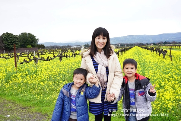 Yountville_5.JPG Yountville_5.JPG