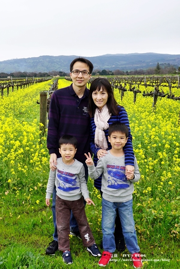 Yountville_8.JPG Yountville_8.JPG