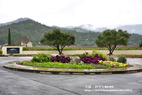 Yountville_37.JPG Yountville_37.JPG