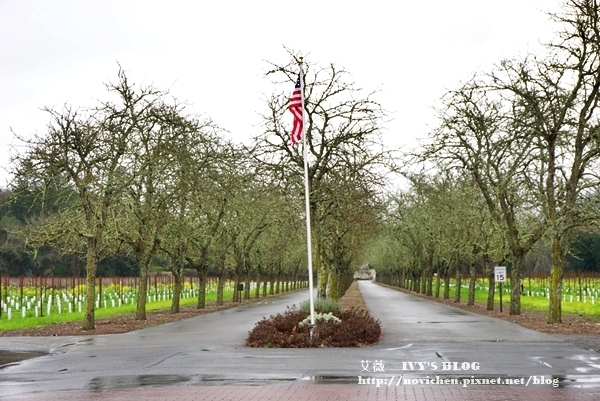 Yountville_38.JPG Yountville_38.JPG