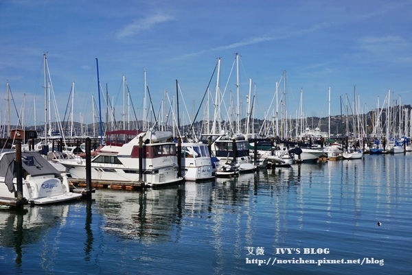 sausalito_8.JPG sausalito_8.JPG