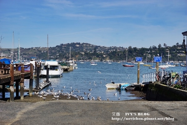 sausalito_9.JPG sausalito_9.JPG