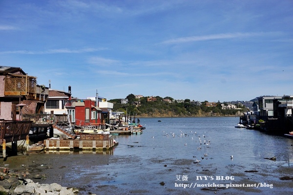 sausalito_11.JPG sausalito_11.JPG