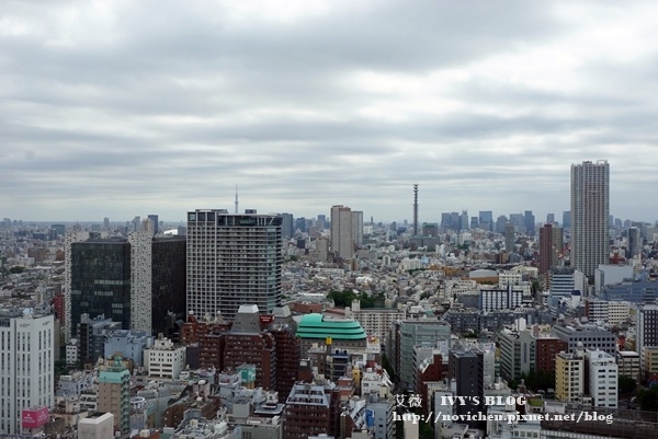 Hotel Gracery Shinjuku_30.JPG